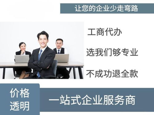 代办服务专业团队