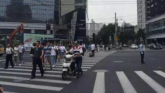 租达北京车牌出租如何选对靠谱平台？老司机教你避开三大陷阱